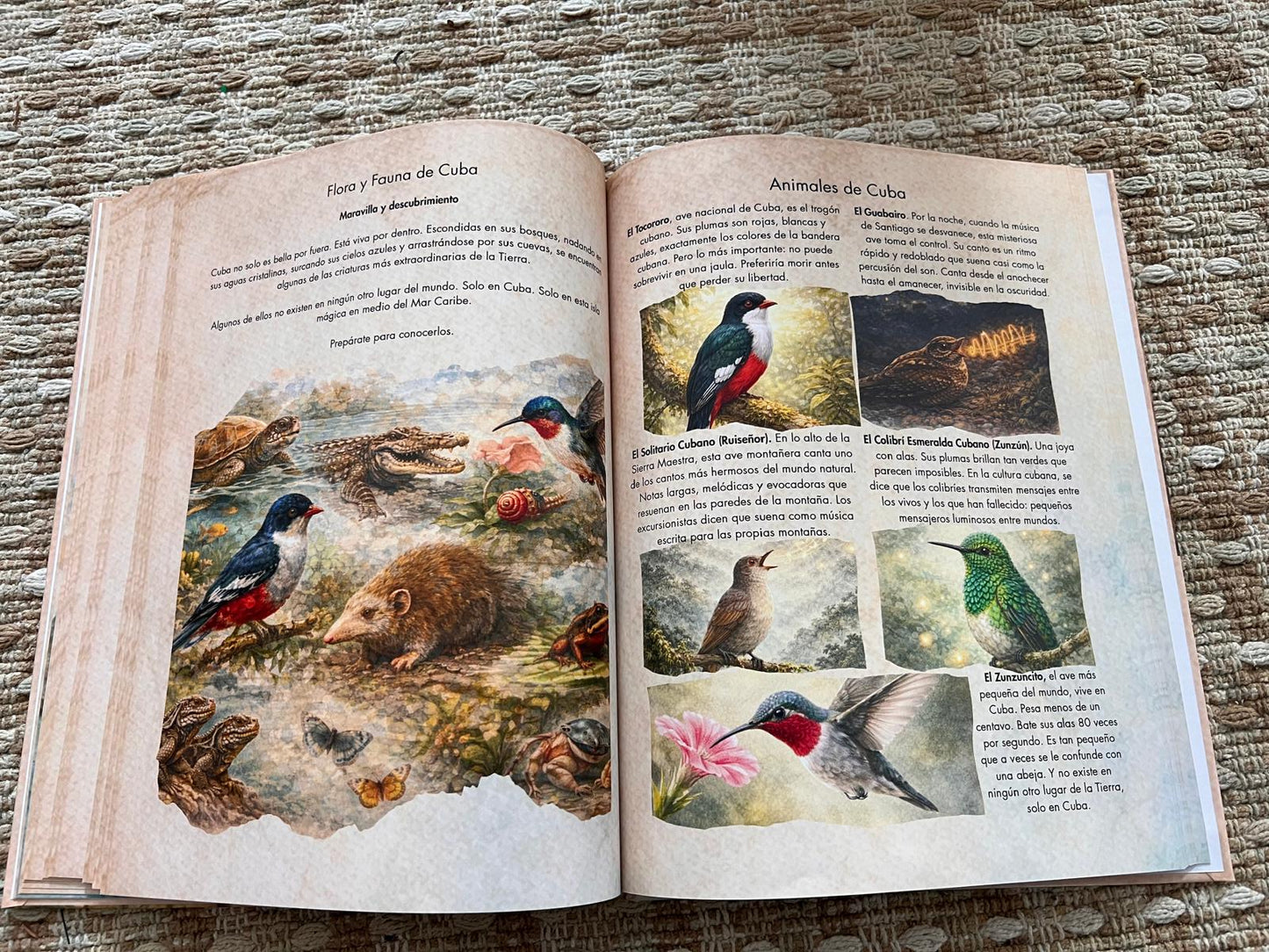 Open book with illustrations of animals on a textured surface Micuba.co